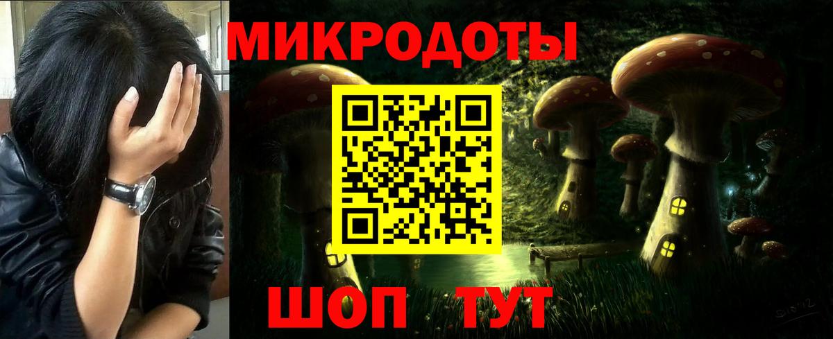Котовск  Псилоцибиновые грибы мицелий  Галлюциногенные грибы Magic Shrooms  Вход с VPN 