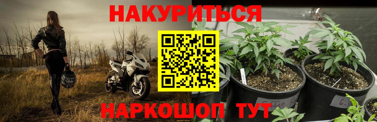 Котовск  Канабис тримм  Вход с VPN  Бошки марихуана VHQ  Шишки марихуана VHQ 